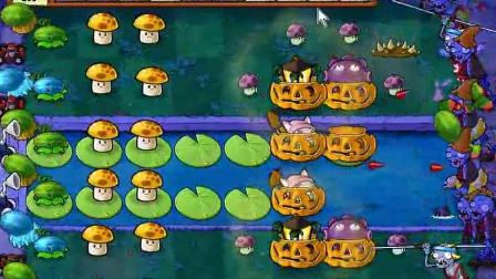植物大战僵尸生存攻略，植物大战僵尸生存游戏