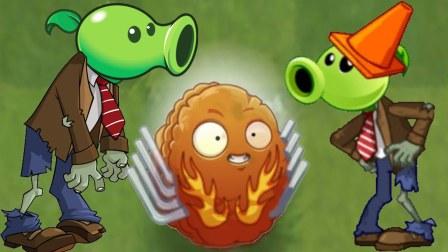 植物大战僵尸爆炸坚果，植物大战僵尸爆炸坚果在哪得-第1张图片-屿企游戏网