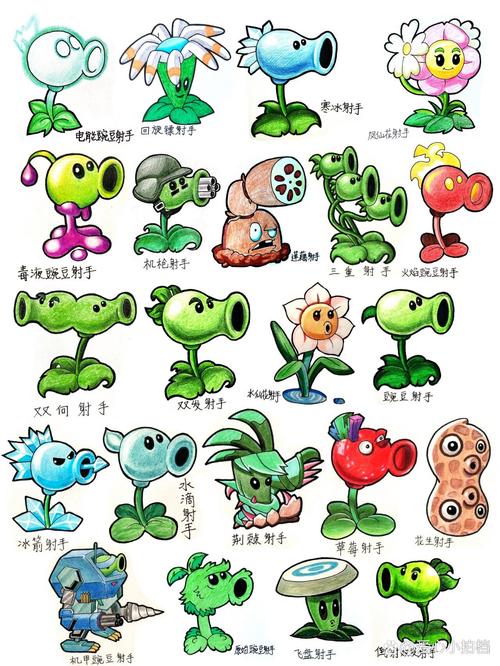 植物大战僵尸中的植物画_植物大战僵尸里所有植物比较好的画画法-第5张图片-屿企游戏网