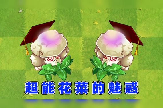 植物大战僵尸2超能花菜_植物大战僵尸2超能花菜植物挑战-第5张图片-屿企游戏网
