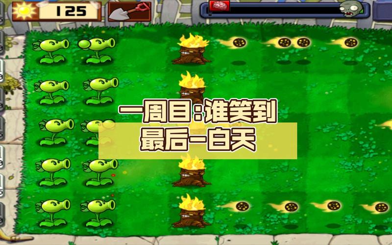 植物大战僵尸谁笑到最后攻略_植物大战僵尸谁笑到最后攻略图解-第1张图片-屿企游戏网