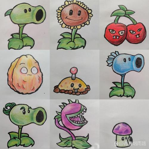 植物大战僵尸的植物画，植物大战僵尸所有植物画画-第5张图片-屿企游戏网