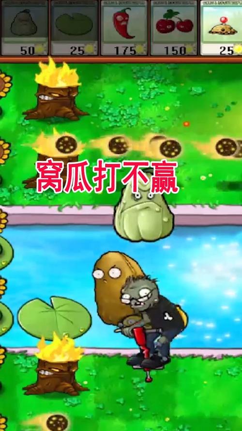 植物大战僵尸隐藏植物_植物大战僵尸隐藏植物雷霆菇-第4张图片-屿企游戏网 植物大战僵尸隐藏植物_植物大战僵尸隐藏植物雷霆菇-第4张图片-屿企游戏网