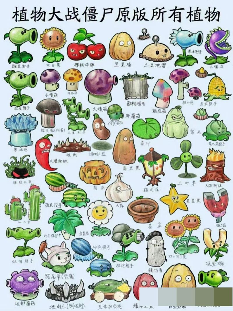 植物大战僵尸所有植物介绍-植物大战僵尸所有植物介绍视频-第4张图片-屿企游戏网