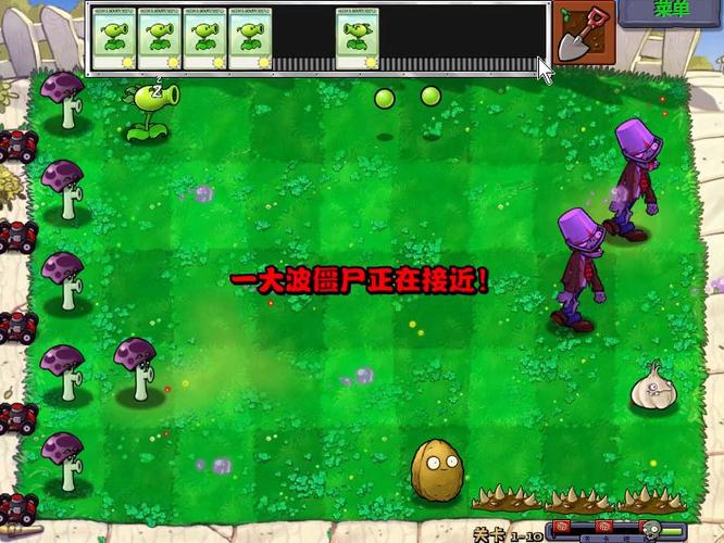 植物大战僵尸胆小菇，植物大战僵尸胆小菇之梦怎么打