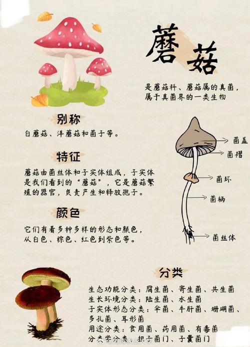 植物大战僵尸2鸡腿菇_植物大战僵尸鸡腿菇简笔画-第2张图片-屿企游戏网