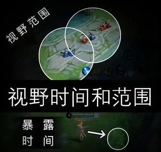 王者荣耀全视野攻略最新_王者荣耀全视野软件-第2张图片-屿企游戏网