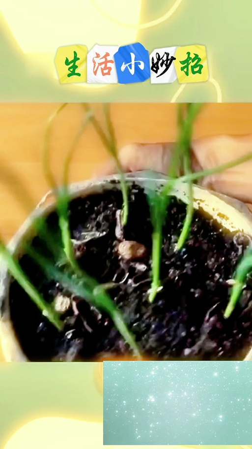 植物大战僵尸合成植物，植物大战僵尸合成植物时代-第4张图片-屿企游戏网