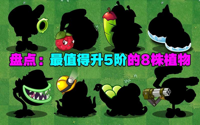 植物大战僵尸满5阶植物，植物大战僵尸满阶植物要多少碎片