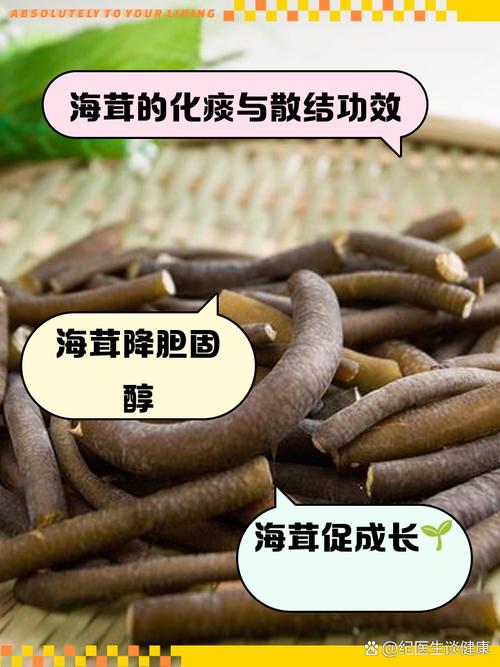 植物大战僵尸海蘑菇_植物大战僵尸海蘑菇图片-第3张图片-屿企游戏网