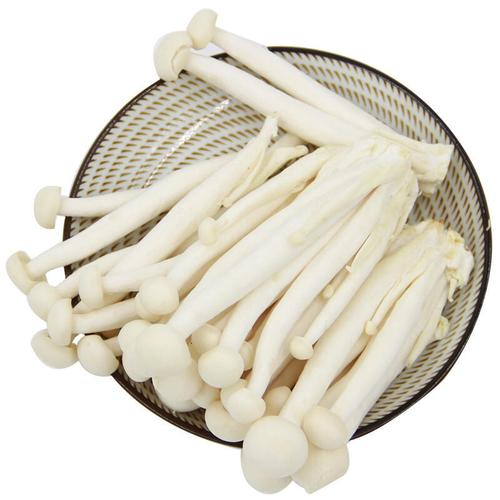 植物大战僵尸海蘑菇_植物大战僵尸海蘑菇图片-第5张图片-屿企游戏网