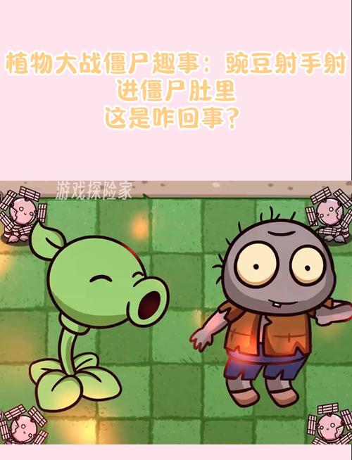 植物大战僵尸213关，植物大战僵尸223关-第4张图片-屿企游戏网