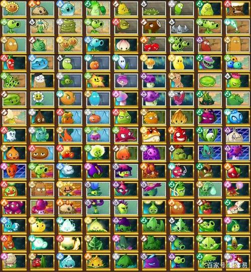 植物大战僵尸的植物图片-植物大战僵尸的植物图片所有植物的图片-第3张图片-屿企游戏网