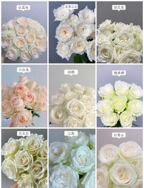 情人节王者荣耀攻略技巧-王者情人节限定有哪些-第3张图片-屿企游戏网