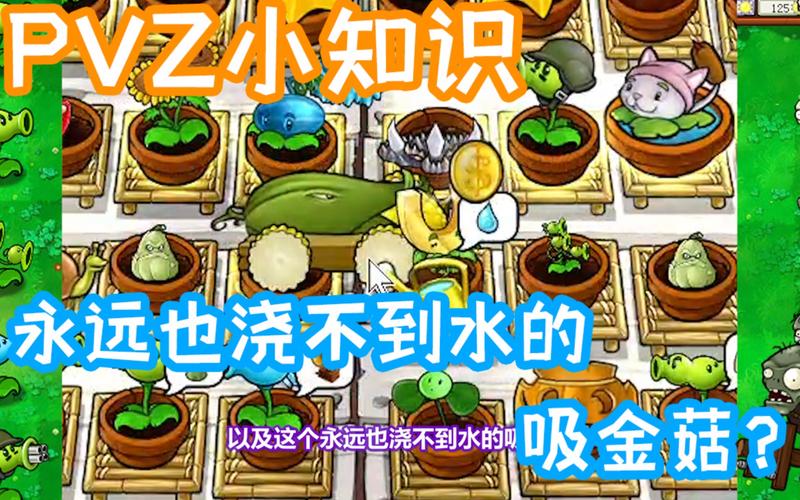 植物大战僵尸吸金菇_植物大战僵尸吸金菇范围-第5张图片-屿企游戏网