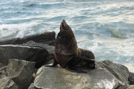 崩坏学院虫在哪里，崩坏学园2虫后在哪里-第5张图片-屿企游戏网