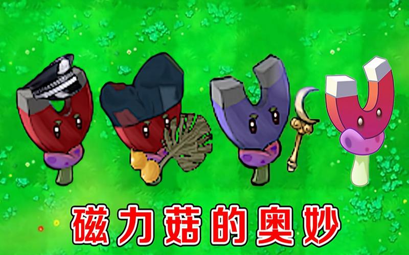 植物大战僵尸2磁力菇怎么不吸-植物大战僵尸2磁力菇能吸金币吗