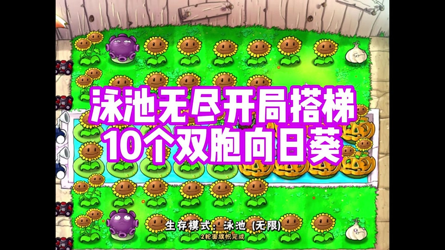 植物大战僵尸2向日葵_植物大战僵尸2向日葵家族天赋选什么-第4张图片-屿企游戏网