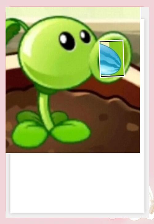 植物大战僵尸2阶植物-植物大战僵尸2阶植物给多少碎片-第5张图片-屿企游戏网