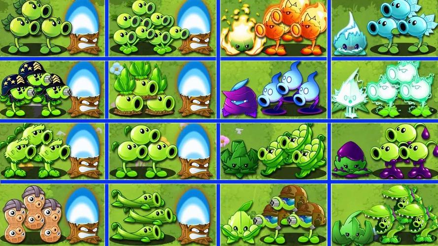 植物大战僵尸2豌豆射手，植物大战僵尸2豌豆射手快速5阶-第4张图片-屿企游戏网