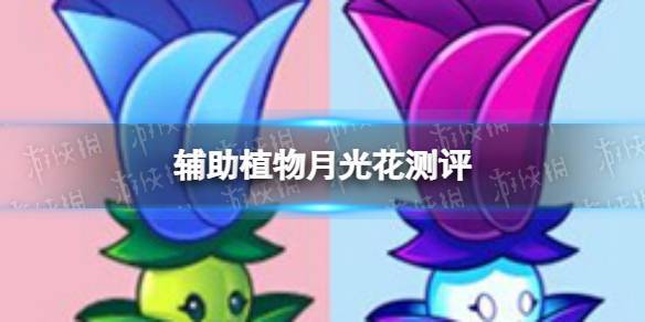 植物大战僵尸月光花，植物大战僵尸月光花图片-第6张图片-屿企游戏网