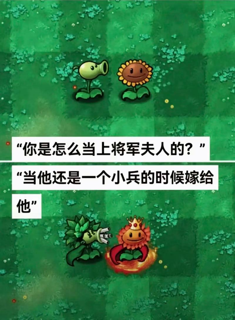 豌豆射手植物大战僵尸-豌豆射手植物大战僵尸里面的冰川二爷怎么捏-第1张图片-屿企游戏网