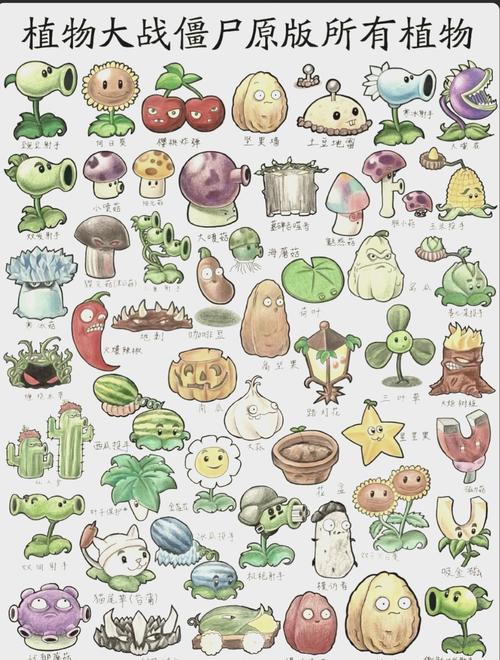 植物大战僵尸植物英文_植物大战僵尸植物英文图鉴-第5张图片-屿企游戏网