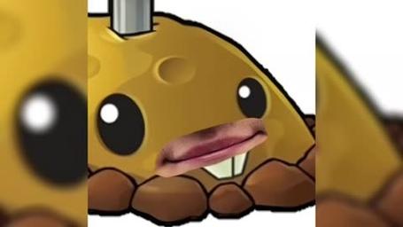 植物大战僵尸挂件搭配-植物大战僵尸挂件哪个好-第1张图片-屿企游戏网