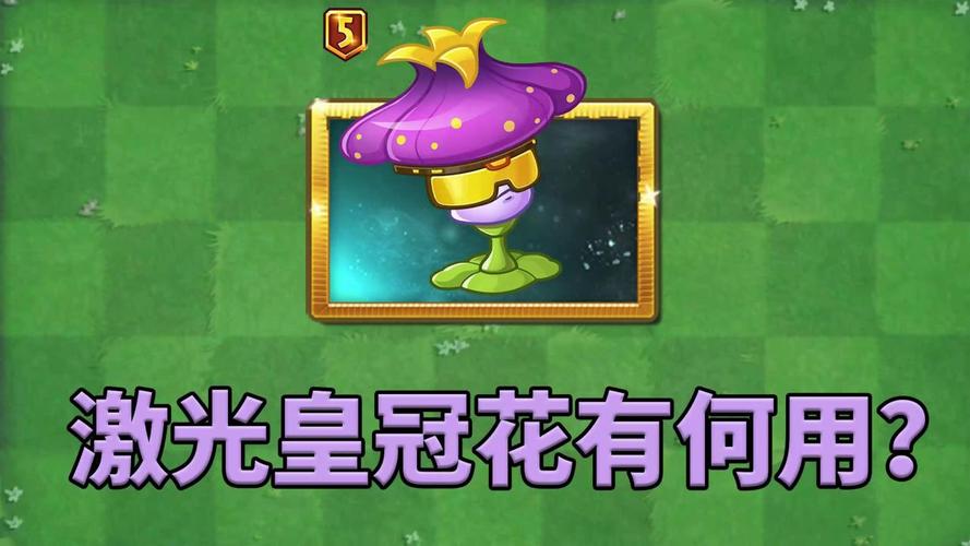 植物大战僵尸挂件搭配-植物大战僵尸挂件哪个好-第5张图片-屿企游戏网