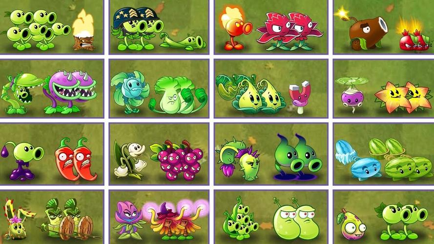 植物大战僵尸里新的植物-植物大战僵尸 新植物-第1张图片-屿企游戏网