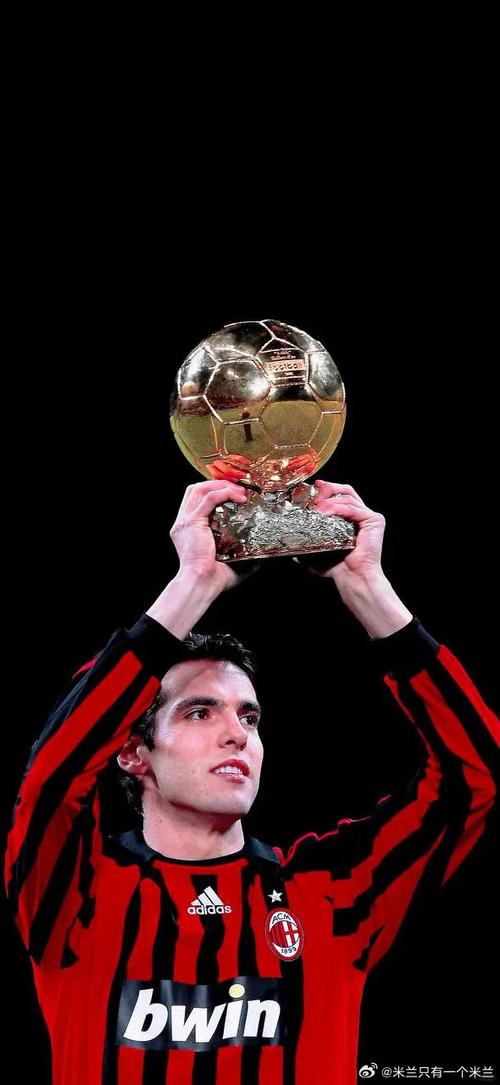 王者荣耀皮尔洛攻略_皮尔洛适合什么阵型-第2张图片-屿企游戏网