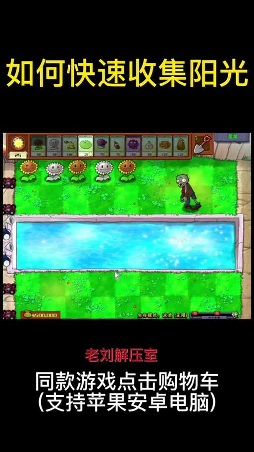植物大战僵尸自动收集阳光_植物大战僵尸原版自动收集阳光