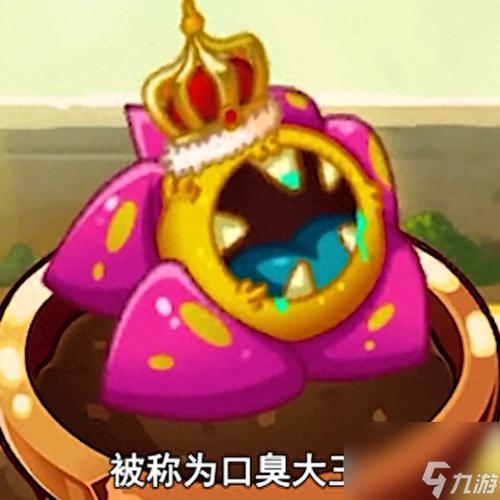 植物大战僵尸高攻击植物-植物大战僵尸攻击力前十名排名榜-第4张图片-屿企游戏网