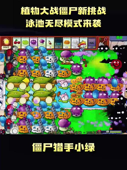植物大战僵尸水池无尽版攻略，植物大战僵尸水池无尽版攻略视频-第2张图片-屿企游戏网