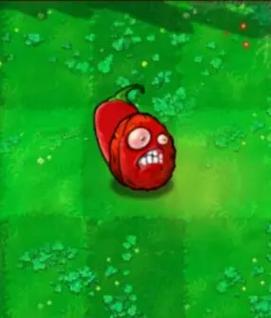 植物坚果大战僵尸，植物大战僵尸坚果系列-第5张图片-屿企游戏网