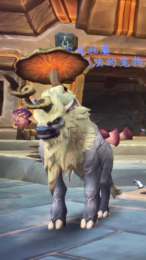 崩坏2白熊学院活动,崩坏学园2白盾-第2张图片-屿企游戏网 崩坏2白熊学院活动,崩坏学园2白盾-第2张图片-屿企游戏网