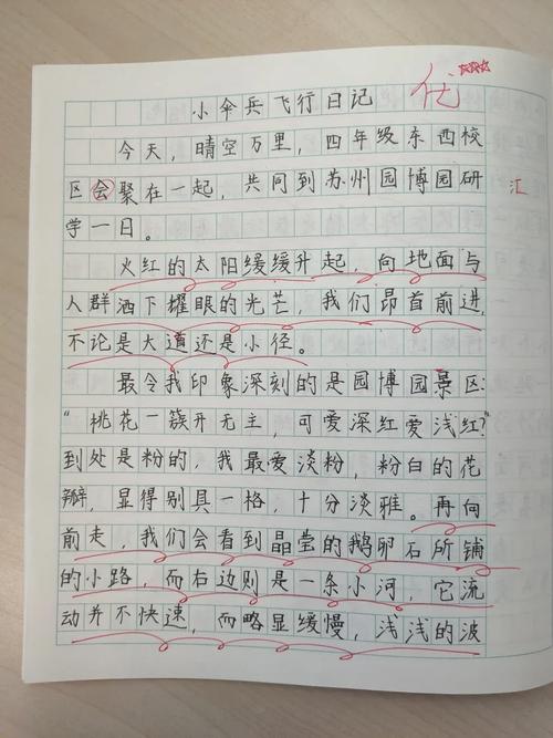 植物大战僵尸玫瑰花，植物大战僵尸玫瑰花动漫-第2张图片-屿企游戏网