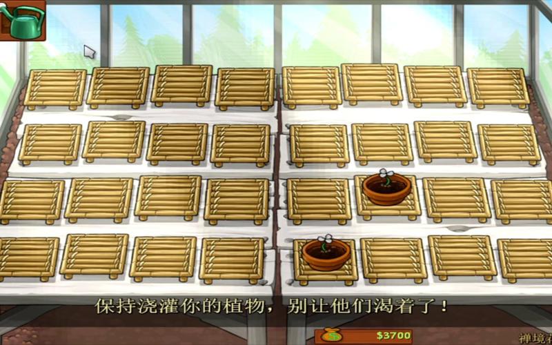 植物大战僵尸玫瑰花，植物大战僵尸玫瑰花动漫-第3张图片-屿企游戏网