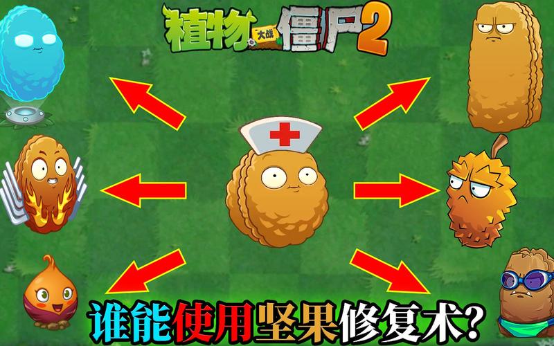 植物大战僵尸坚果图片-植物大战僵尸坚果图片大全大图-第2张图片-屿企游戏网