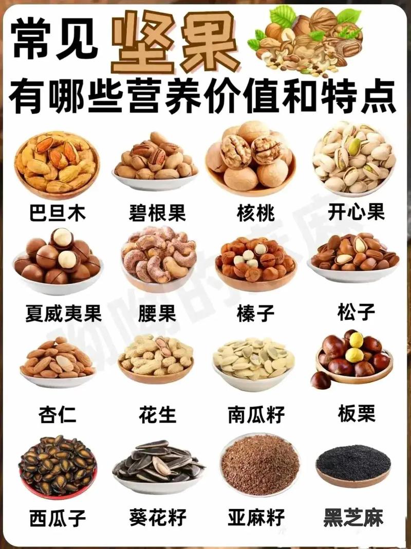 植物大战僵尸坚果图片-植物大战僵尸坚果图片大全大图-第3张图片-屿企游戏网