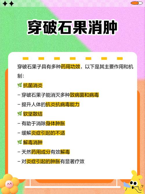 植物大战僵尸坚果图片-植物大战僵尸坚果图片大全大图-第4张图片-屿企游戏网