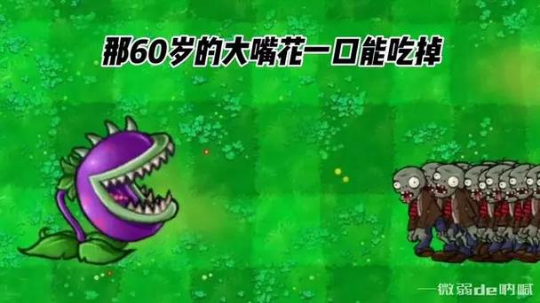 植物大战僵尸1大嘴花_植物大战僵尸1大嘴花怎么获得-第6张图片-屿企游戏网