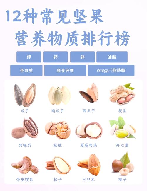 植物大战僵尸高坚果，植物大战僵尸高坚果怎么画