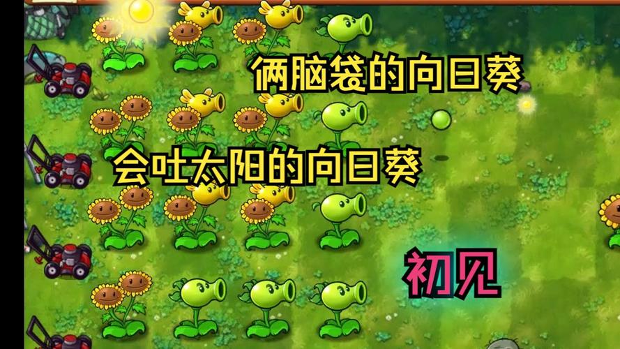 植物大战僵尸2双胞向日葵，植物大战僵尸2双胞向日葵超级装扮-第4张图片-屿企游戏网
