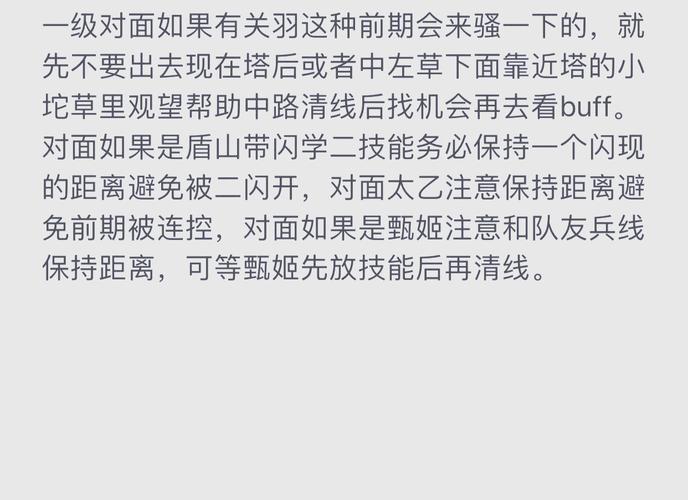 王者荣耀大乔的出装_王者荣耀 大乔出装-第6张图片-屿企游戏网