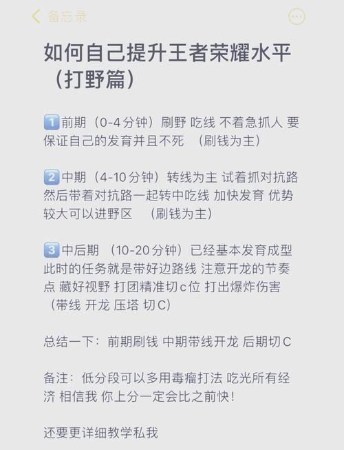 王者荣耀高级玩家攻略视频，王者荣耀高级玩法-第5张图片-屿企游戏网