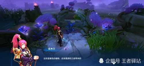 暗月猎人王者荣耀攻略，暗月猎手的天赋推荐-第3张图片-屿企游戏网