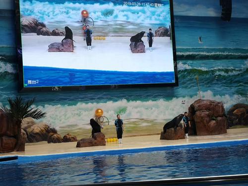 王者荣耀龙宫特点攻略_新版本龙宫-第2张图片-屿企游戏网