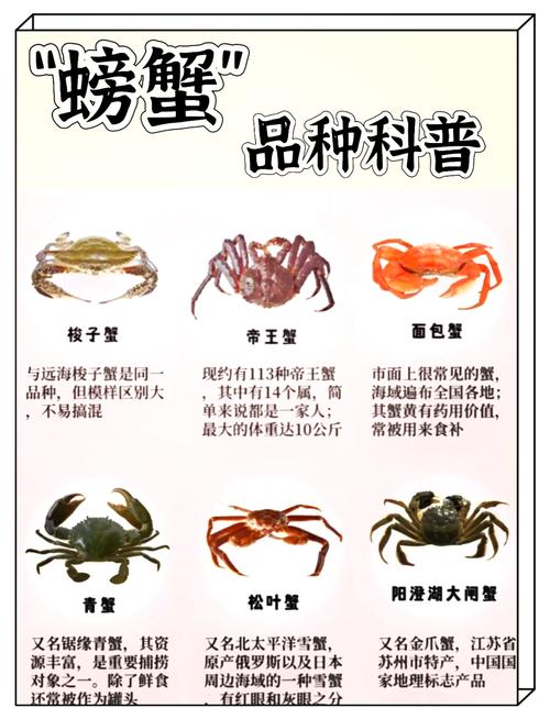 王者荣耀卢姥爷攻略-卢姥爷强度-第3张图片-屿企游戏网 王者荣耀卢姥爷攻略-卢姥爷强度-第3张图片-屿企游戏网