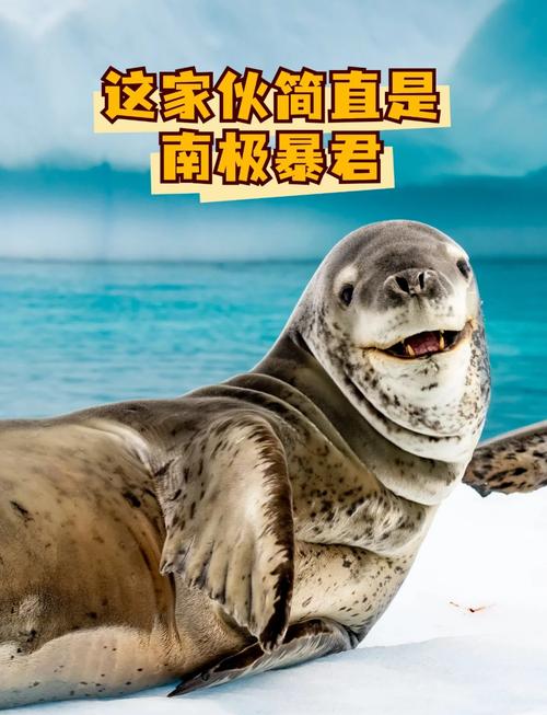崩坏学院虫在哪_崩坏学院怎么解锁人物-第2张图片-屿企游戏网
